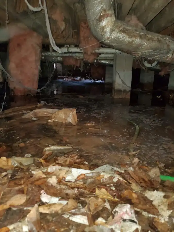 Crawl space flood assessment for Leak Detection & Repair in Avon Park