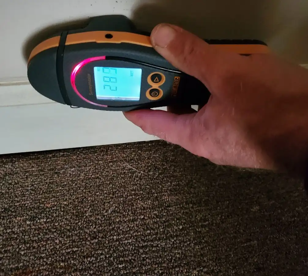 Moisture detection at baseboard during Sewage Cleanup & Sanitation in Avon Park